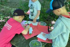 IMG-20250515-WA0004