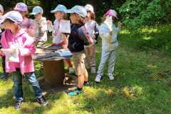 IMG-20250515-WA0024