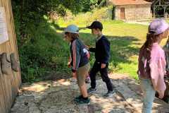IMG-20250515-WA0030