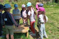 IMG-20250515-WA0032