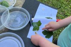 IMG-20250519-WA0001