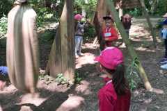 IMG-20250519-WA0040