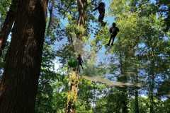 IMG-20250519-WA0046